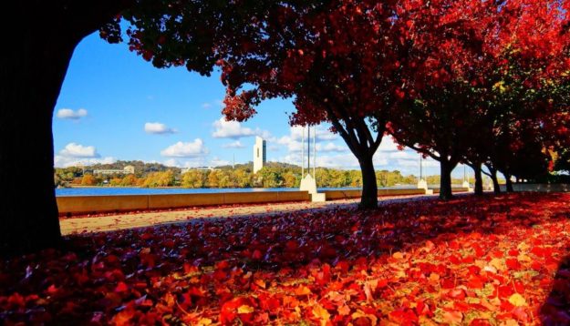 Autumn